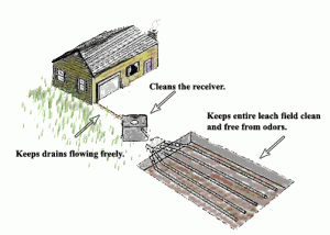 Septic Bio-Digester – Aquatic Bio Science