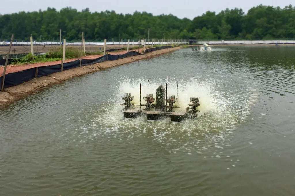 Aeration in pond