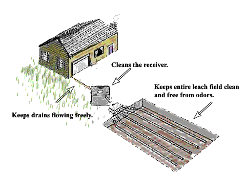Septic Tank Flow Description